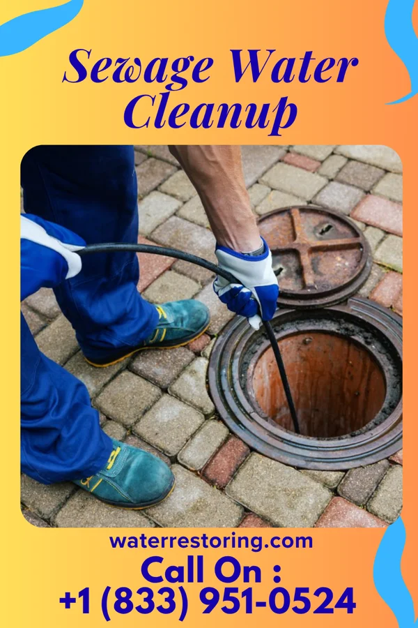 Sewage Water Cleanup in St. Charles, IL